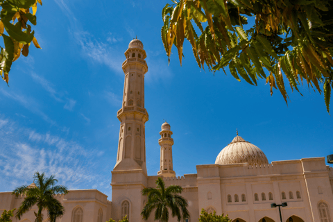 Stadstour: Ontdek de schatten van Salalah met een lokale gids