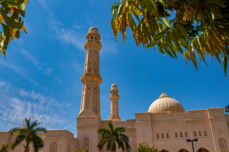 Stadtrundfahrt: Entdecke Salalahs Schätze mit einem lokalen Guide