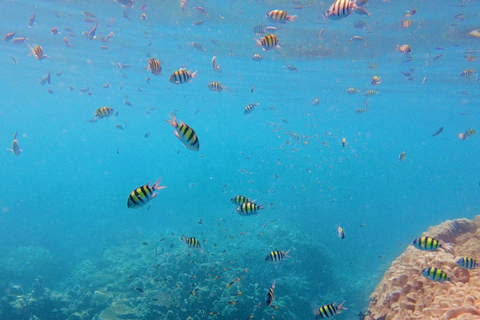 Phuket: Excursión de un día a las Islas Surin en lancha rápida