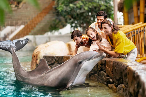 Abu Dhabi: SeaWorld Entry Ticket with Private SUV Transfer Abu Dhabi: SeaWorld Entry Ticket with KIA Carnival Transfer