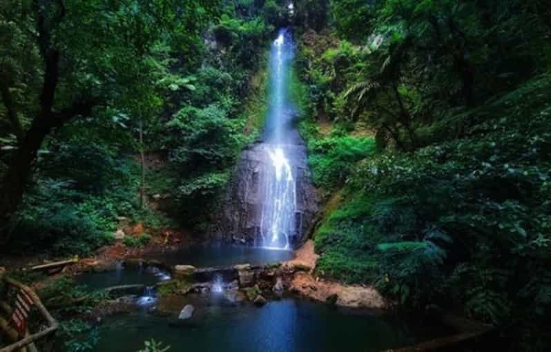 Dari Jakarta Menjelajahi Taman Safari Air Terjun Perkebunan Teh GetYourGuide