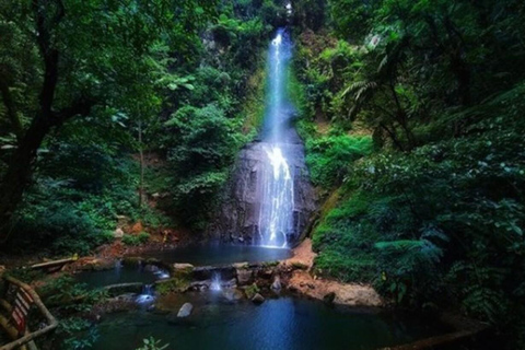 Depuis Jakarta : Parc safari, chute d&#039;eau et plantation de thé