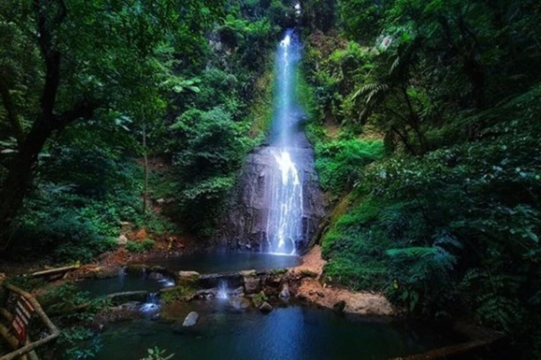 De Jacarta: Explore o parque de safári, a cachoeira e a plantação de chá