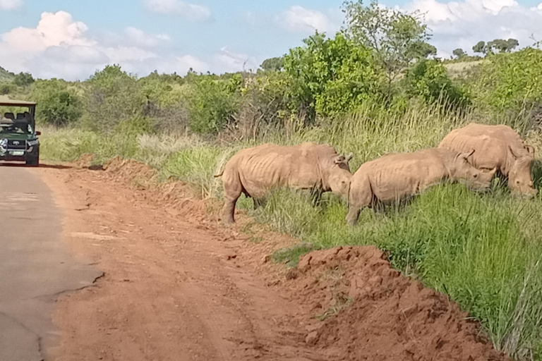Pilanesberg National Park