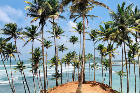 Explore the Southern Coast of Sri Lanka with Mr.Scooter($40)