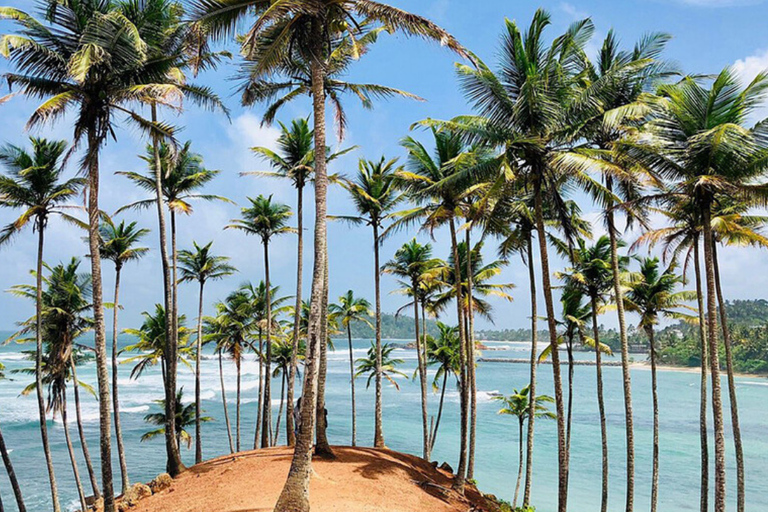 Explore the Southern Coast of Sri Lanka with Mr.Scooter($40)