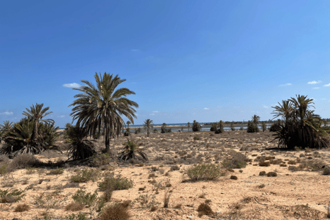 Djerbay Adventures : Safari quad Djerba