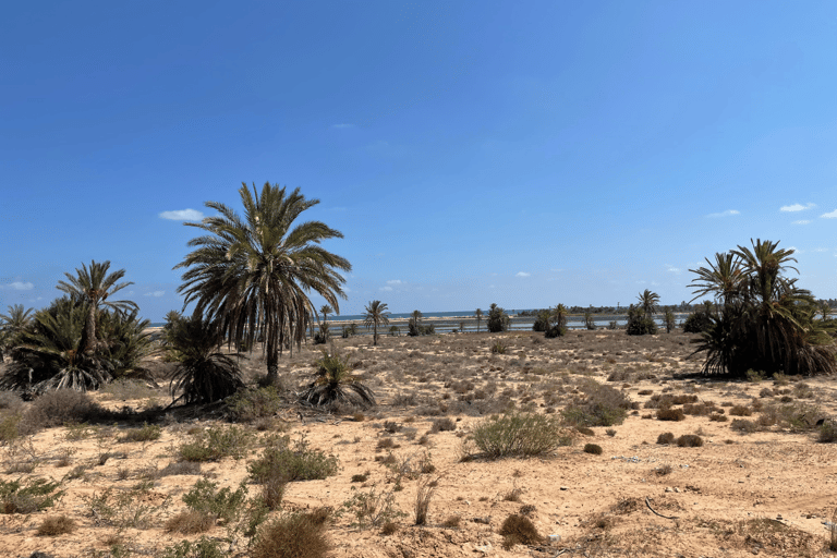 Djerbay Adventures : Safari quad Djerba