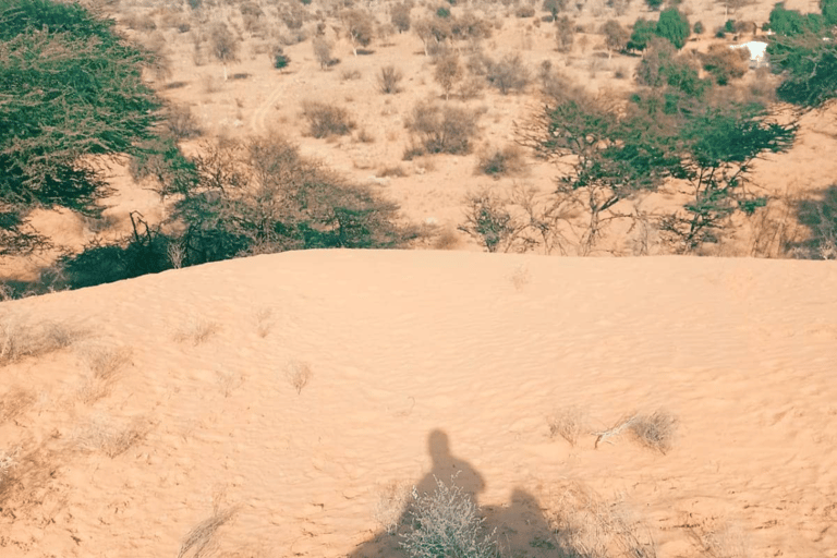 Jodhapur Desert Camel and Jeep Safari SR