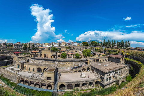 Desde Nápoles: Excursión de un día a Pompeya, Herculano y el Vesubio