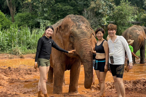 Chiang Mai: Doi Inthanon i wycieczka do sanktuarium słoniMiejsce zbiórki