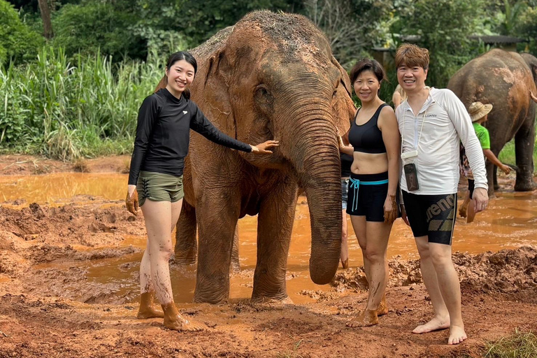 Chiang Mai : Visite du Doi Inthanon et du sanctuaire des éléphantsPrise en charge à l&#039;hôtel