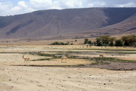 Safari Privado en Camping de 8 Días y 7 Noches por Kenia y Tanzania