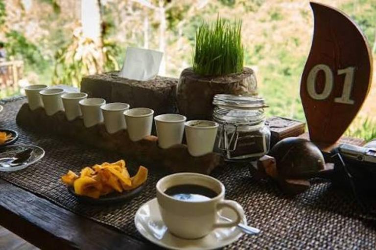 Ubud: Customizable Tirta Empul Melukat Purification Tour Tirta Empul Only: Melukat Ritual & Guided Temple Visit