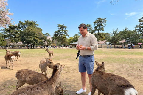 Nara’s Heritage & Fushimi Inari’s Red Gates Tour from Kyoto