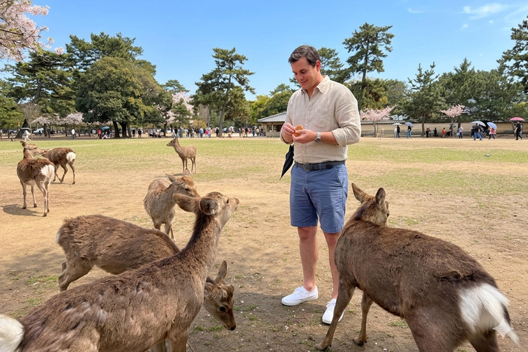 Nara’s Heritage & Fushimi Inari’s Red Gates Tour from Kyoto