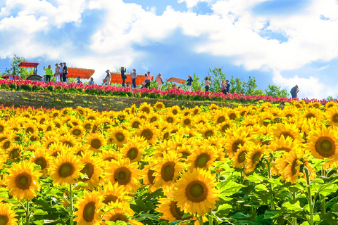 Hokkaido Summer Day Trip: Patchwork Road&Shikisai no Okas Depart from Sapporo Tokyu REI Hotel (without lunch)