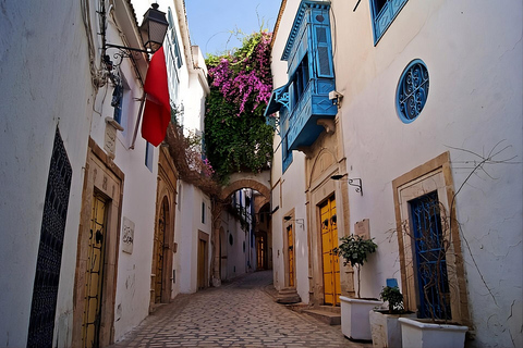Tunis Day Tour: Medina, Carthage & Sidi Bou Said