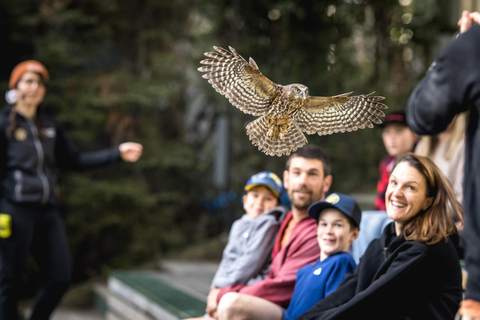 Queenstown: Bilet wstępu do parku Kiwi