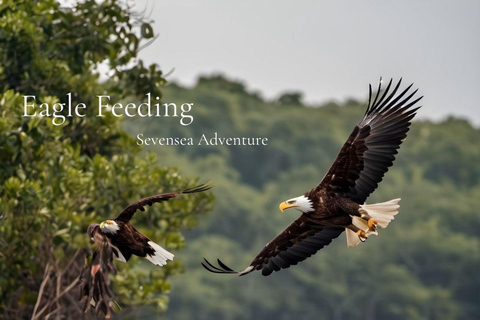 Langkawi: Cave, Eagle Feeding, Fish Feeding &amp; Lunch