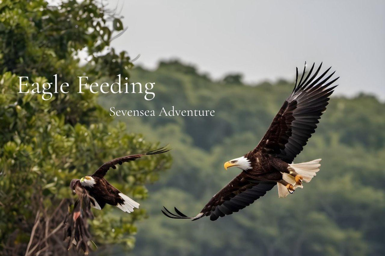 Langkawi: Cave, Eagle Feeding, Fish Feeding & Lunch