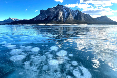 Lake Louise Ski Resort & Abraham Lake Ice Bubbles day tour 09:35AM Pick Up from Banff Aspen Lodge