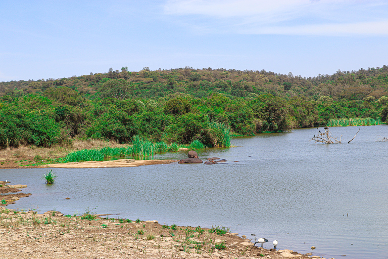 Privérondleiding door het Nairobi Nationaal Park