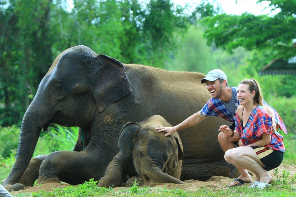 Chiang Mai: Exclusive Elephant Nursery Full-Day Program