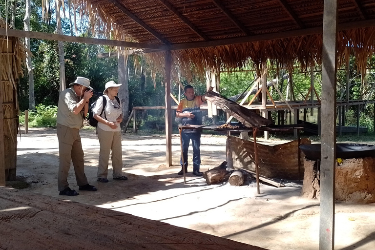 Private Tour of the Rio Negro/Natural Beauties of the Amazon