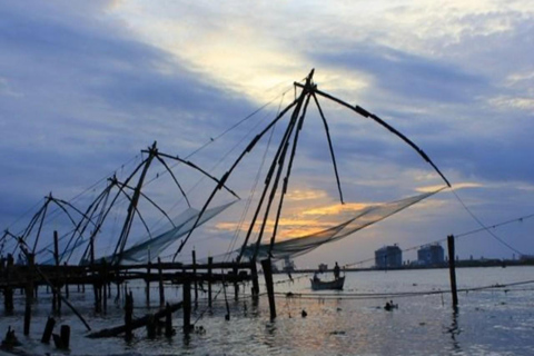 جولة ركوب الدراجات في ضوء القمر في كوتشي