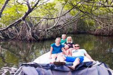 Bentota : Safari fluvial avec prise en charge et retour à l&#039;hôtelSafari matinal sur la rivière Bentota avec prise en charge et retour à l&#039;hôtel