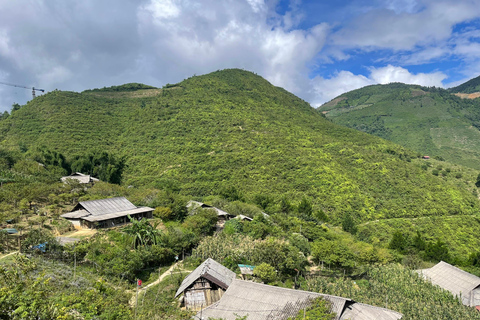 Red Dao Village Trek and Herbal Bath