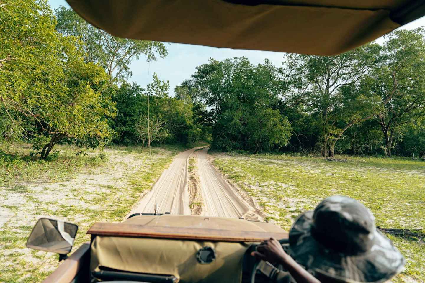 Full-Day Pilanesberg Safari from Sun City - Full-Day Pilanesberg Safari from Sun City