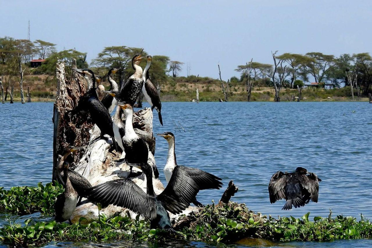 Nairobi: Crescent Island Sanctuary Day Trip with Lunch Nairobi: Crescent Island Sanctuary private day Trip
