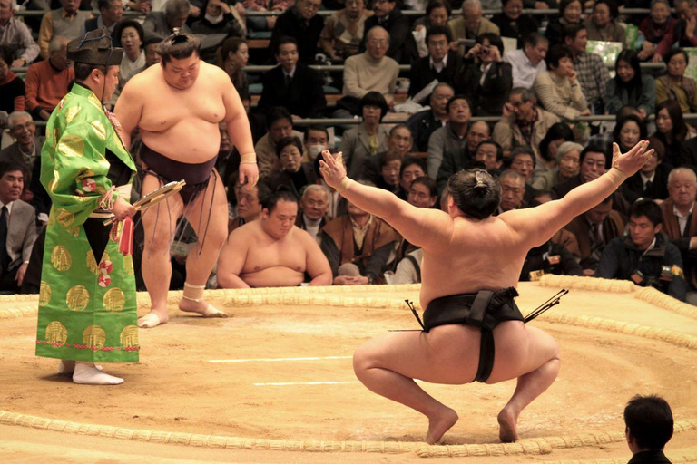 Tokyo: Sumo Tournament with Guide & Assigned Reserved Seat Reserved Seat in Zone B