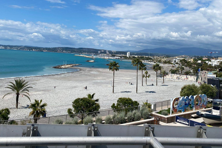 French Riviera: Private Tour of Monaco, Èze & Nice with Chauffeur Private 2-Hour Tour – Monaco or Nice Express
