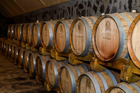 Baku: Sheki Day Trip with Caravanserai and Khan's Palace