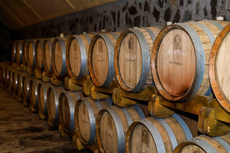 Baku: Sheki Day Trip with Caravanserai and Khan's Palace