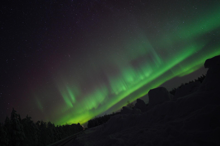 Northern Lights Rovaniemi Guaranteed & Unlimited KM Hunting