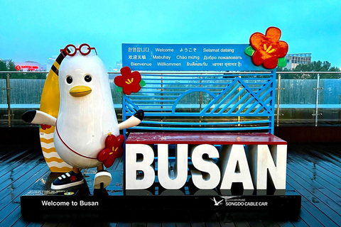 Hassel free Seoul-Busan Highlight Tour (KTX ticket included)