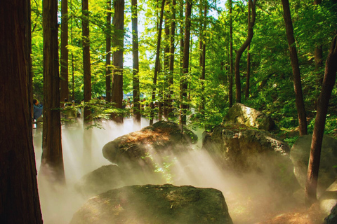 Beijing: Summer Palace Guided Tours & Top Park Combos Private Summer Palace & Old Summer Palace Park Walk Tour