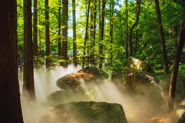 Beijing: Summer Palace Guided Tours & Top Park Combos Private Summer Palace & Old Summer Palace Park Walk Tour