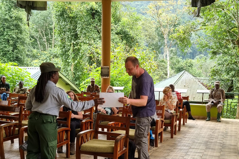 Uganda: 7-dagars gorillasafari och djurliv