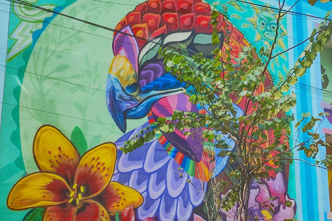 Tour de arte de rua: centro da Cidade do México