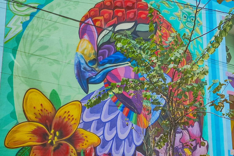 Tour de arte de rua: centro da Cidade do México