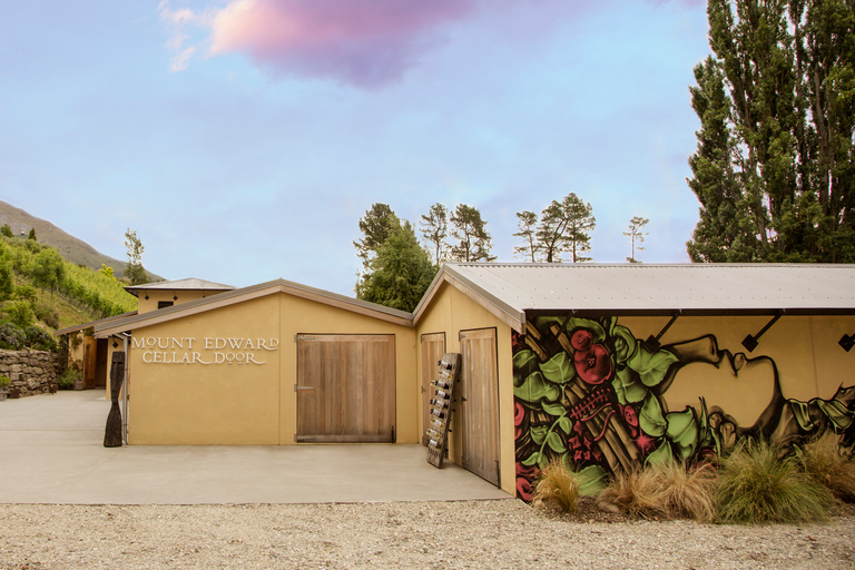 Queenstown: Winery Loop by Ebike & Take-Home Bottle of Wine