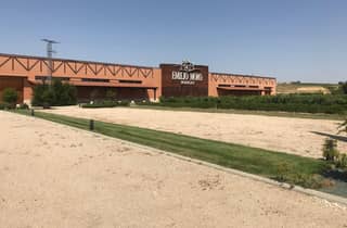 Ab Madrid: Private Tour nach Ribera del Duero & zum Weingut Emilio Moro