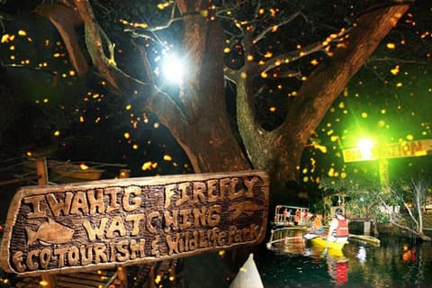 Puerto Princesa Firefly Watching (shared tour) - Image 2