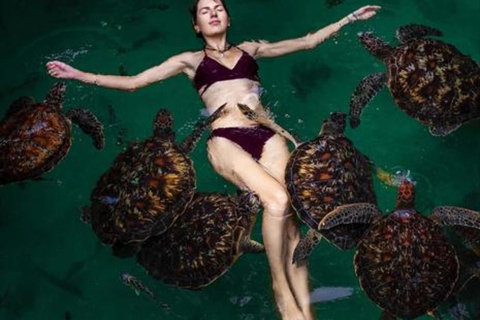 Zanzibar: Jaskinia Salaam i pływanie z żółwiamiTa opcja nie obejmuje transportu.