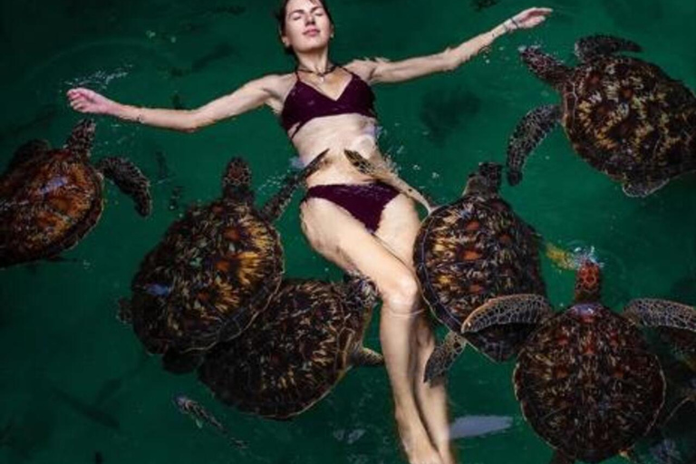 Zanzibar: Jaskinia Salaam i pływanie z żółwiamiTa opcja nie obejmuje transportu.